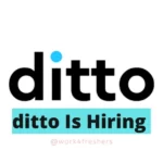 Ditto Work from Home freshers Drive | Apply Now!