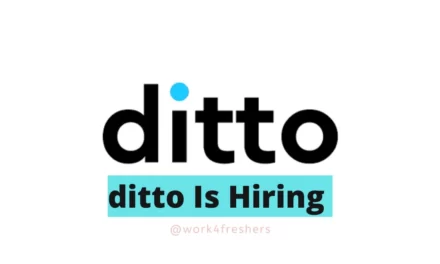 Ditto Work from Home freshers Drive | Apply Now!