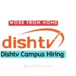 Work From Home Part -Time Job |Dishtv Off Campus 2023 |Apply Now!