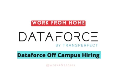 DataForce Off Campus 2024 Hiring Part Time Remote Job