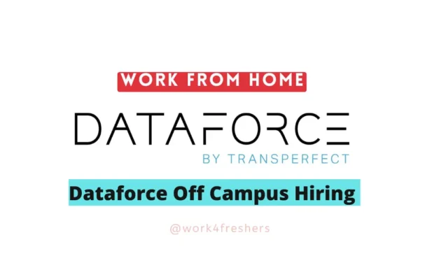 DataForce Off Campus 2024 Hiring Part Time Remote Job